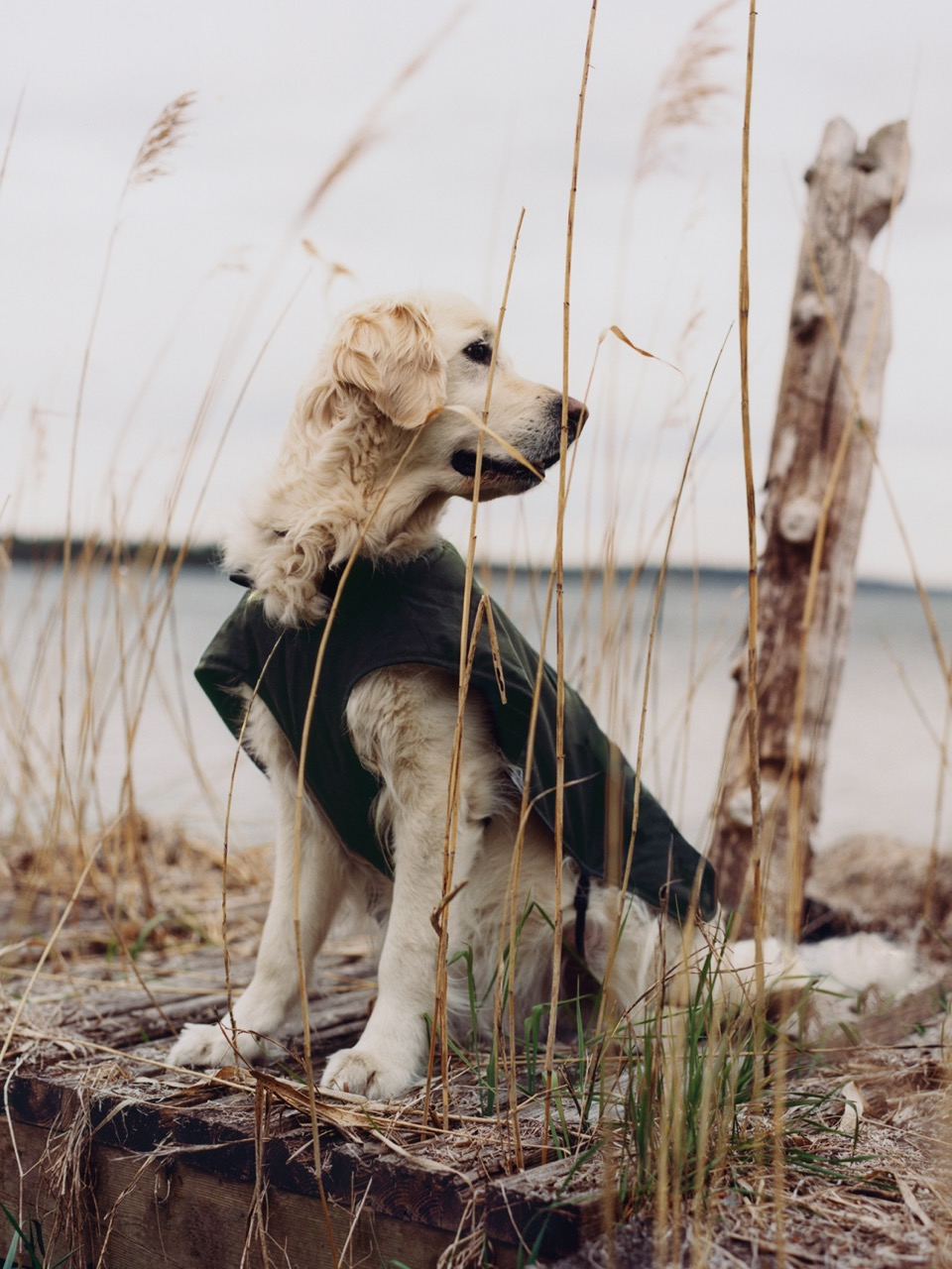 25310_WM_Barbour_24 Large.jpeg