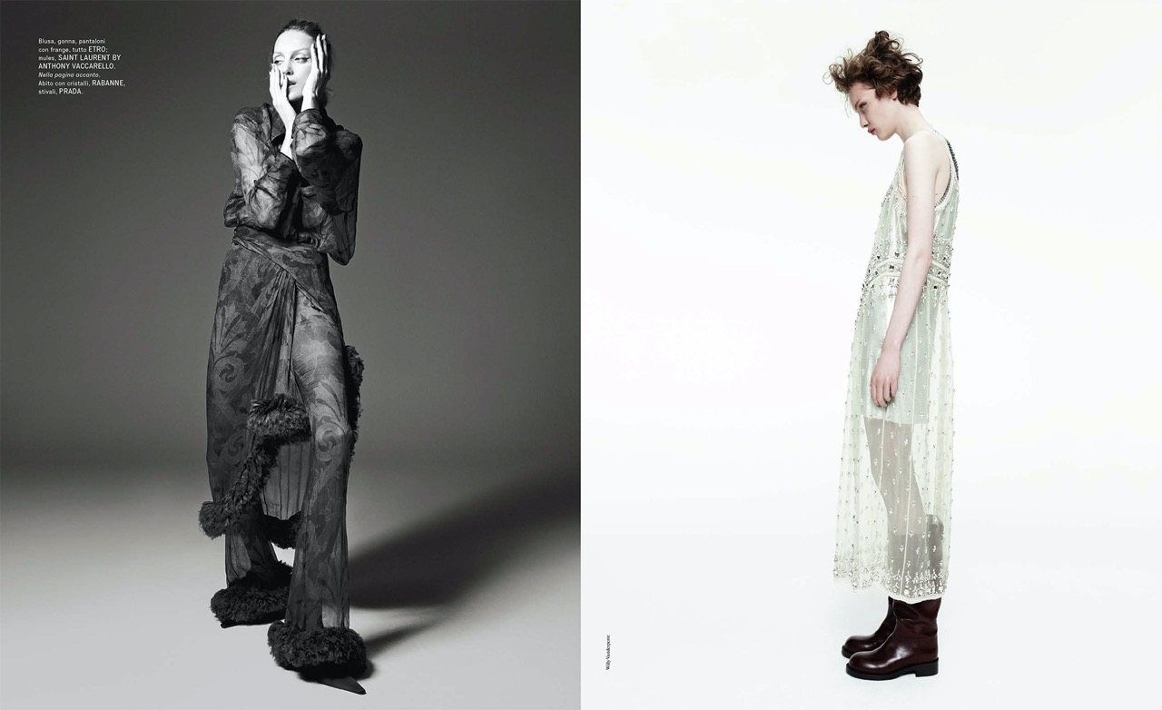 HB16 FS WILLY PAUL-6 Large.jpeg