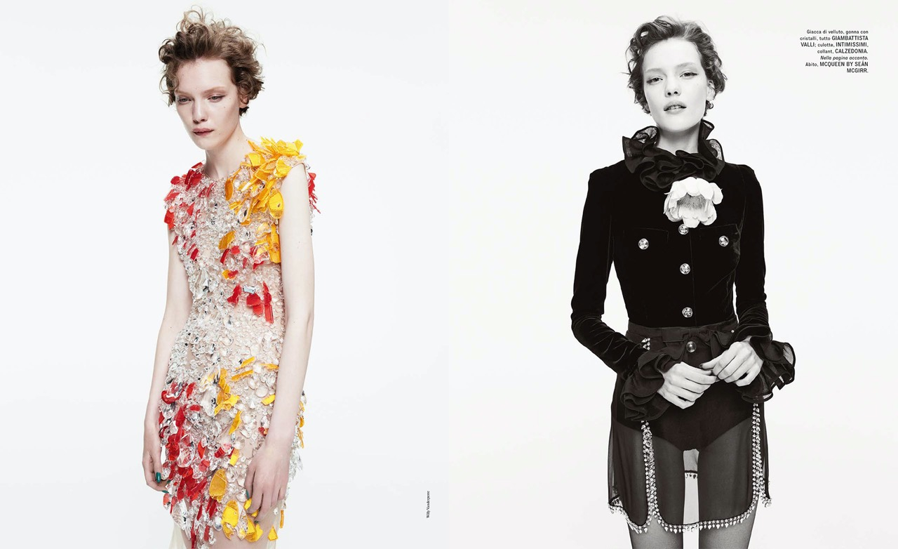 HB16 FS WILLY PAUL-7 Large.jpeg