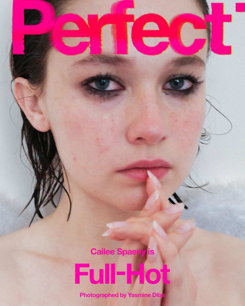 JAL_Perfect7_CailleSpaeny_Cover.jpg