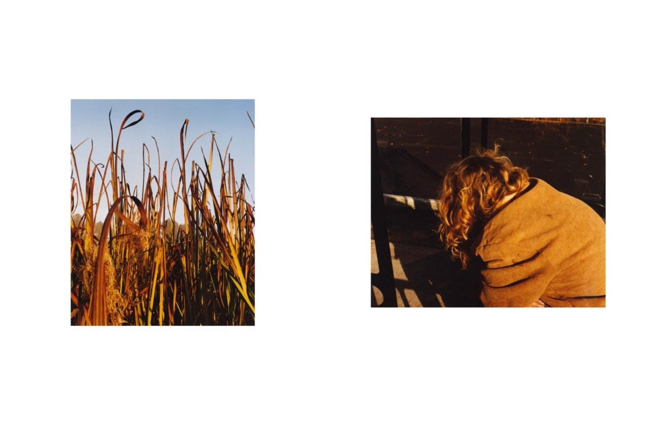 SS64_JAMIE_HAWKESWORTH_page-0006 Large.jpeg