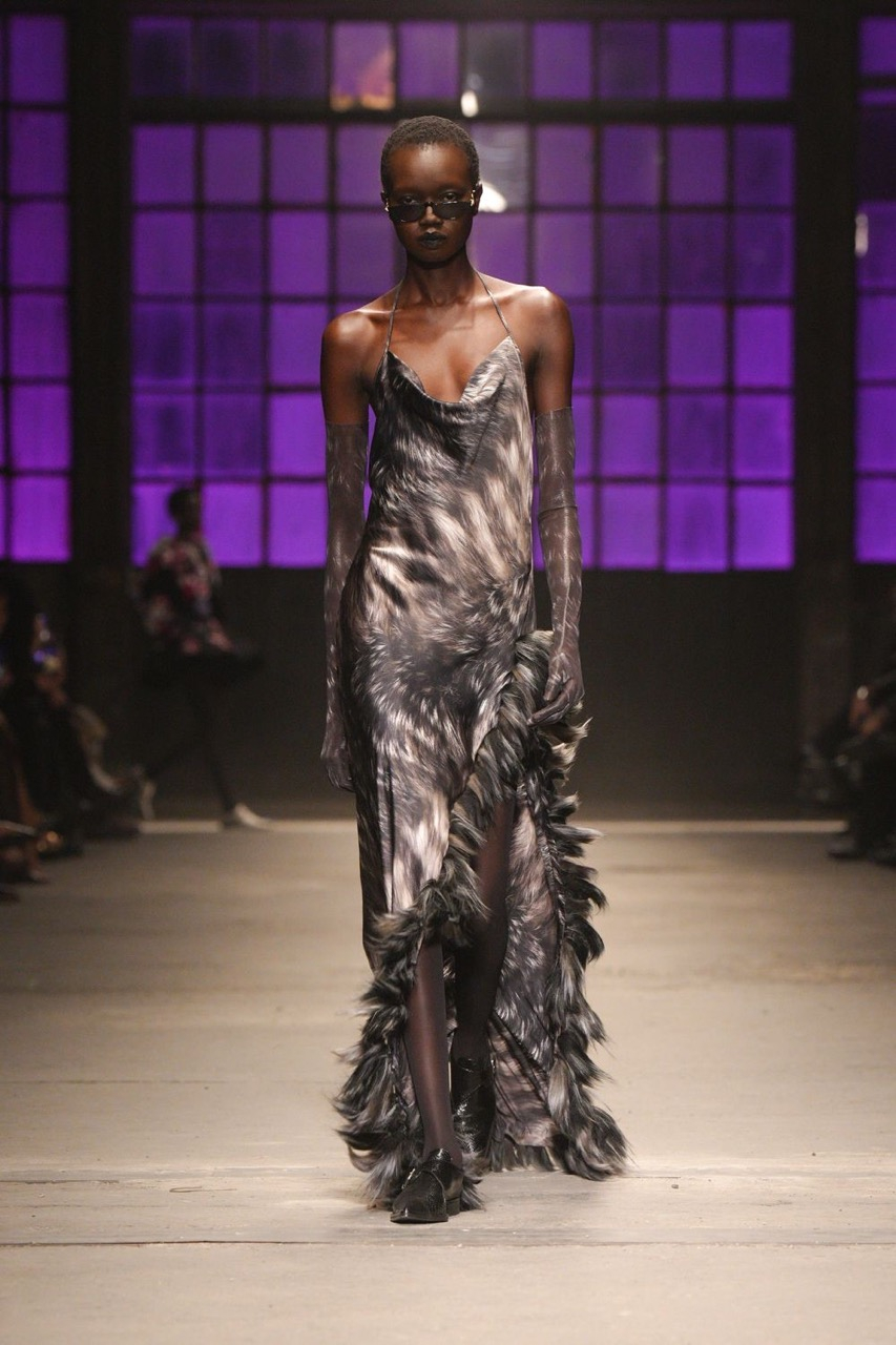 SV_RobertoCavalli_AW26_27 Large.jpeg